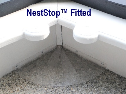 Neststop Fitted